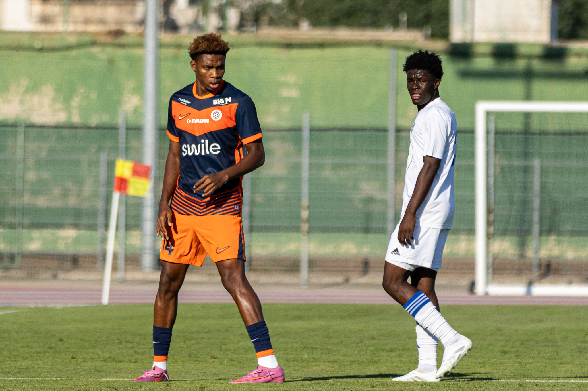 MHSC - SCB